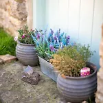 Holiday home 1 Bed In Healaugh Oc-ds1008 Reeth
