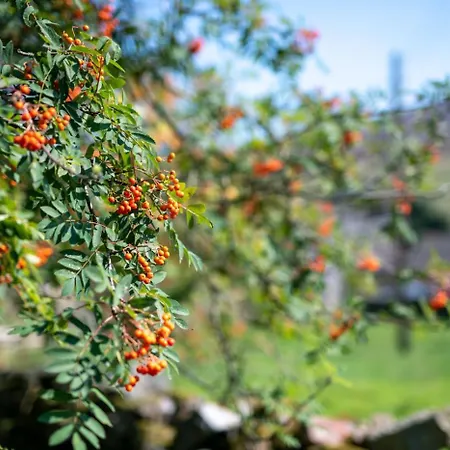 Bizzys Bolthole Dom wakacyjny Reeth