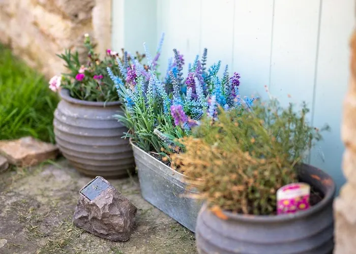 Σπίτι διακοπών 1 Bed In Healaugh Oc-ds1008 Reeth